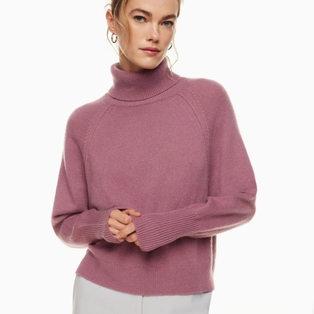 Aritzia Babaton Luxe Cashmere Turtleneck Sweater